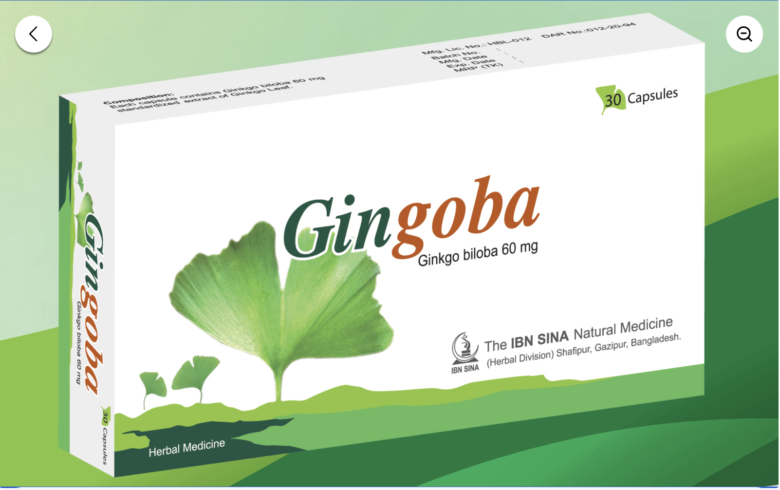 Gingoba 60
